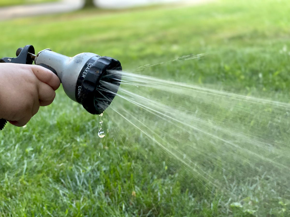 How to Water Your Grass A Guide to Happiness and Fulfillment by