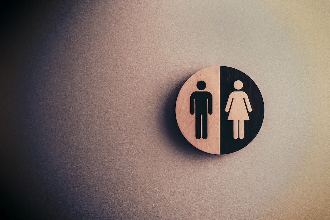 Why Mothers Shouldn’t Take Small Boys Into Female Toilets by Jaden
