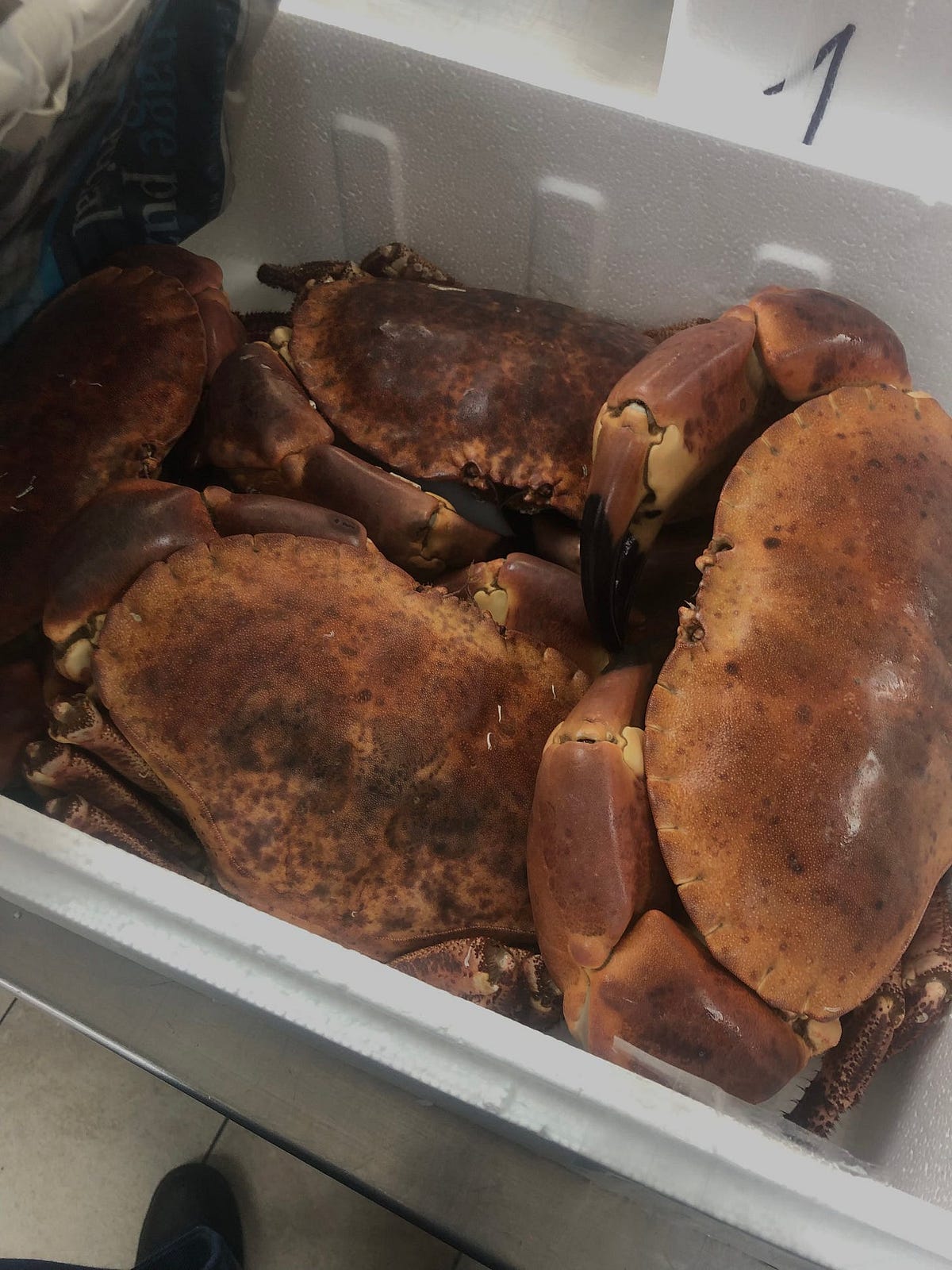 Crabs In A Bucket. Kitchen secrets By The Gourmet Guru Medium