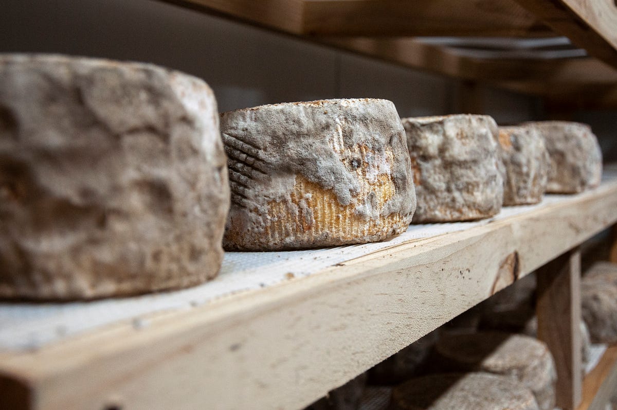 Taleggio Cheese A Journey Through Tradition, Production, and Culinary