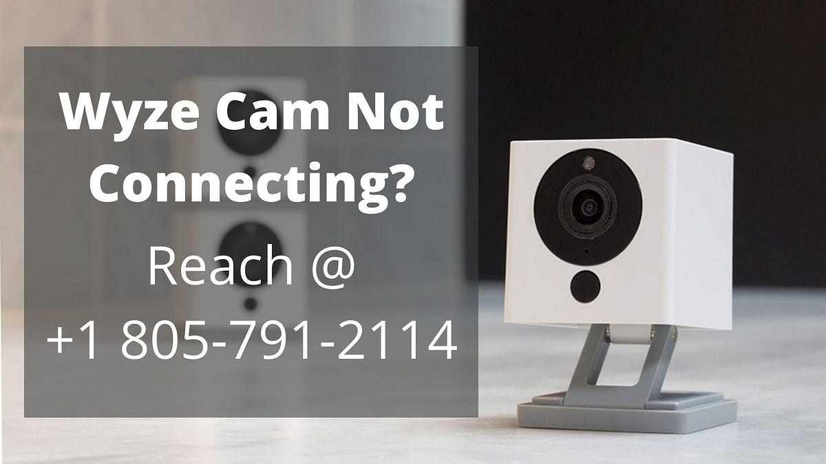 How To Fix When Wyze Cam Not Connecting? by Alexandra Daddario Medium