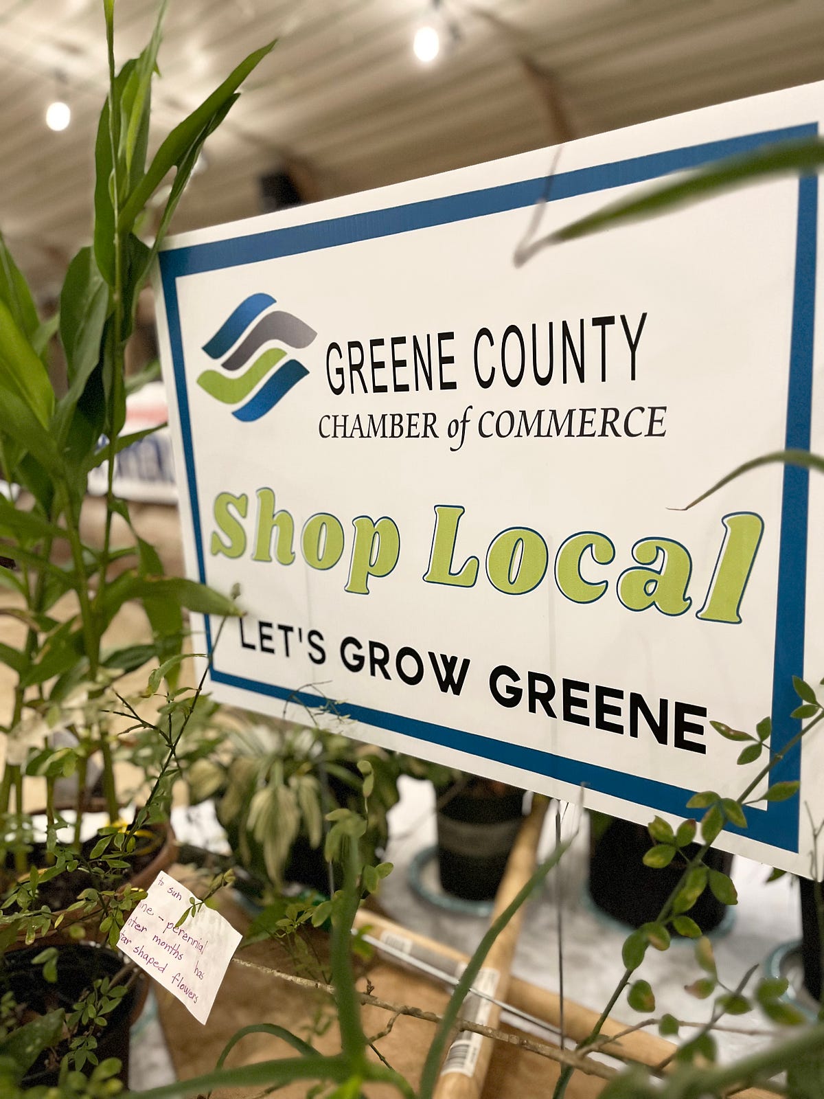 Getting A Taste of Greene GC Chamber of Commerce Event by Greene