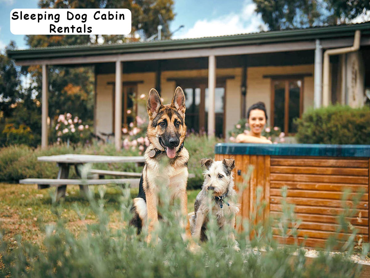 Pet Friendly Vacation Rentals With Fenced Yard