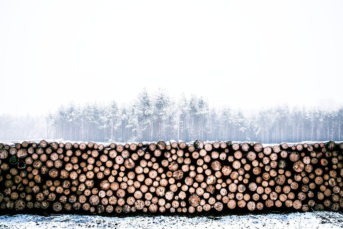 Tips to Choose The Best Timber For Your Furniture Timber Merchants