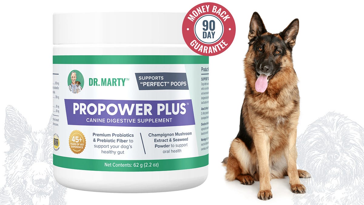 Dr Marty Propower Plus Review Transforming My Dog’s Digestive Wellness