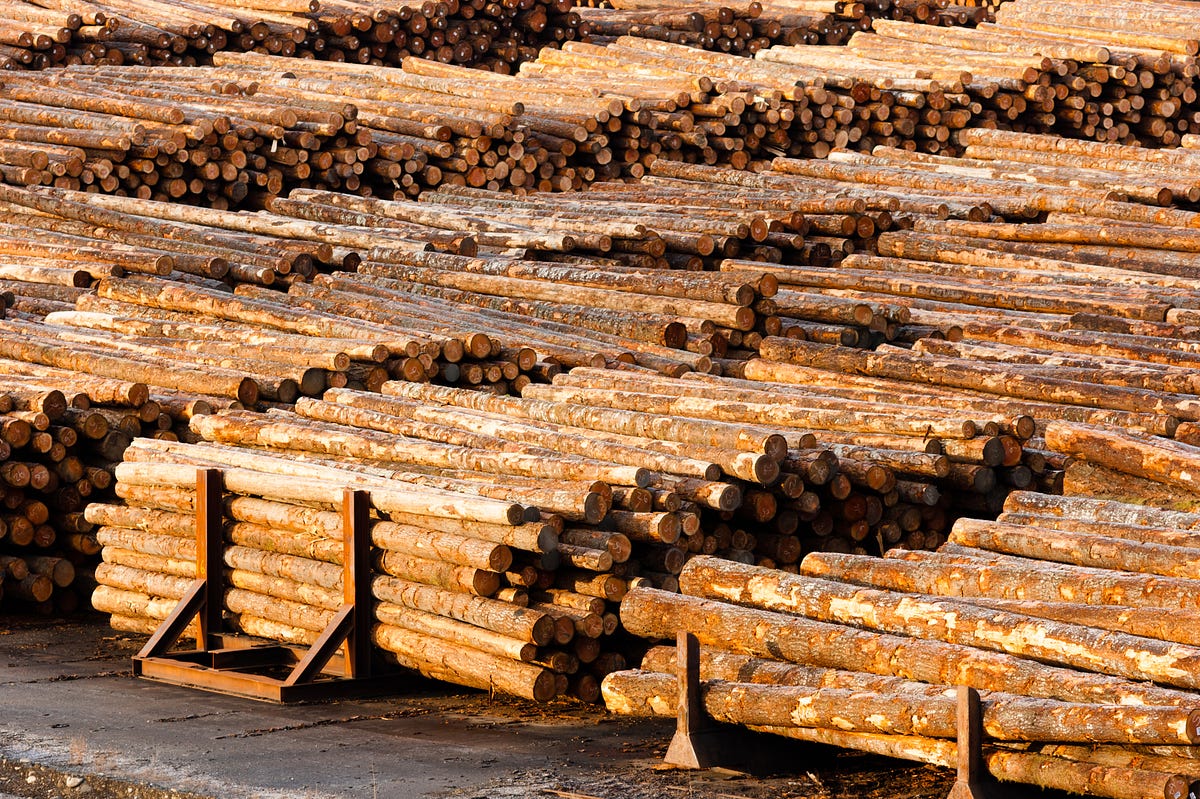 Everything You Need to Know About Lumber Yards in Houston by Bayou