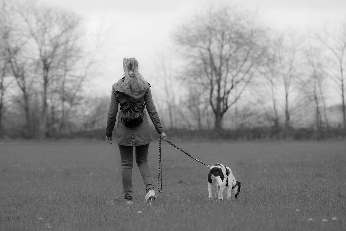 Why You MUST Obey Leash Laws. This week’s post is born from… by