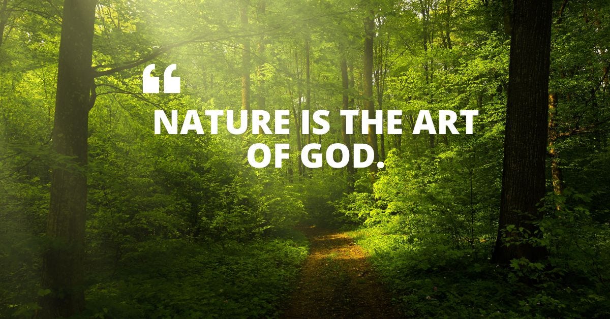 50+ Inspiring Nature Heals Quotes to Soothe Your Soul by Rizwan Medium