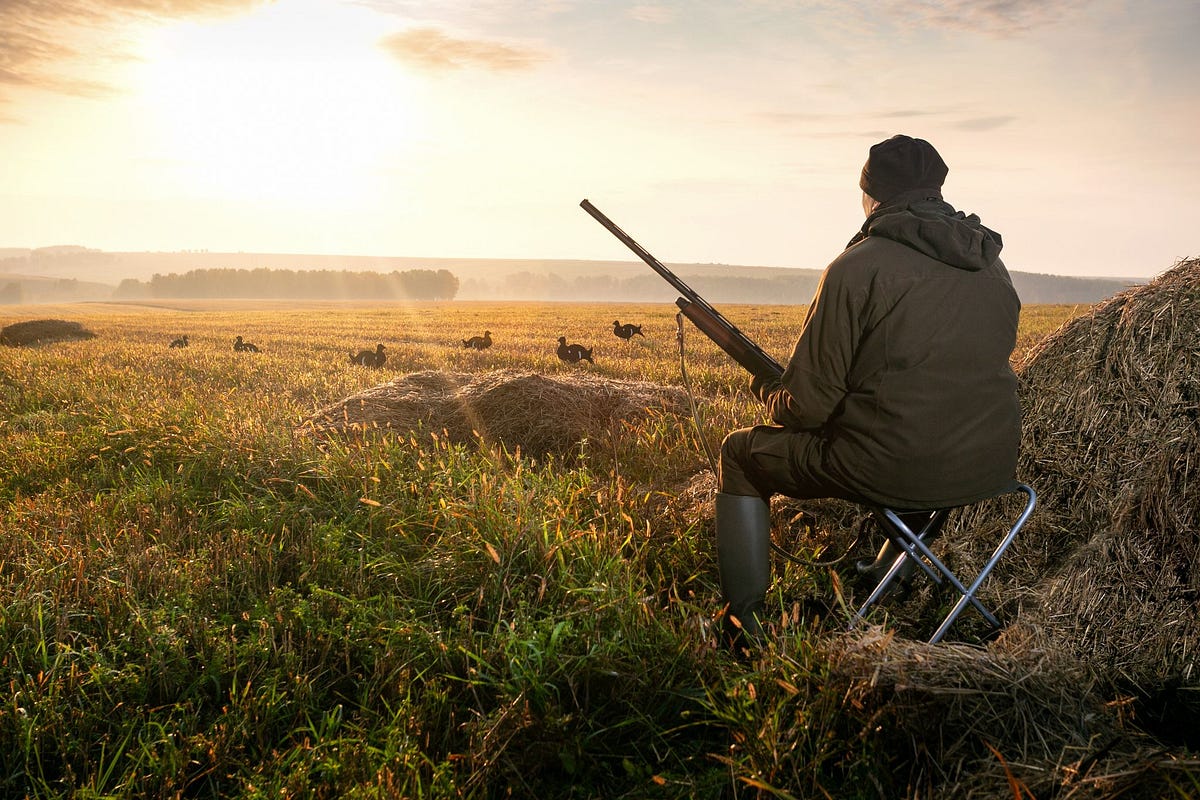 How To Film Your Own Hunts — [Everything You Need To Know] by William