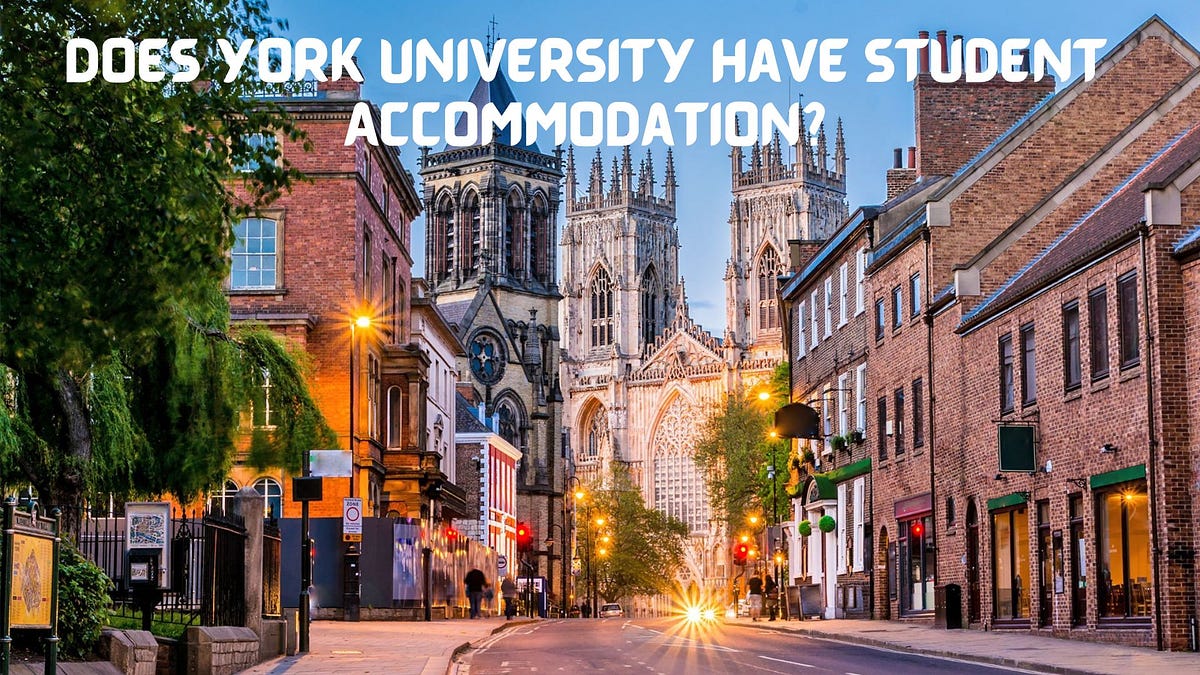 Does York University Have Student by Youngtessa Aug, 2023 Medium