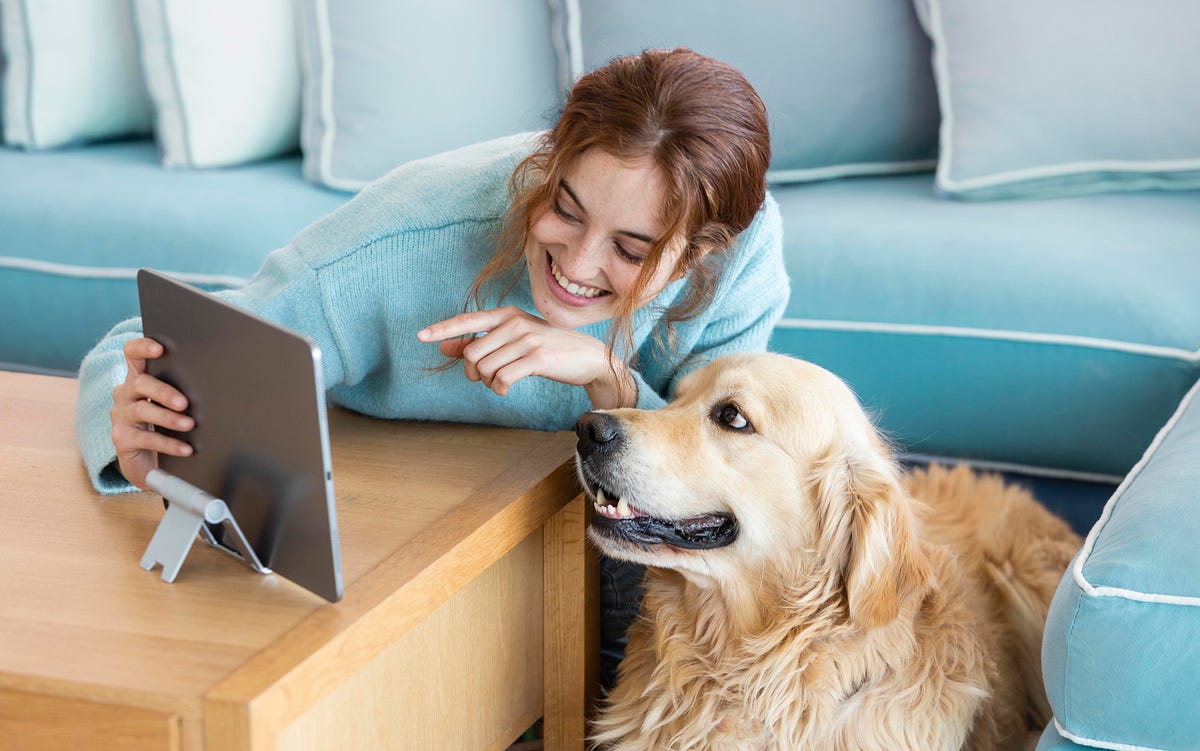 Disclosing the 5 Shocking Truths Concerning Craigslist Pets Story of(02)