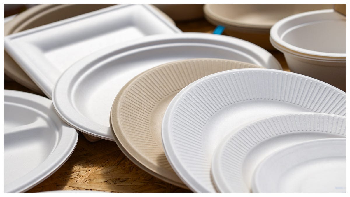 Startup Profitable Venture by Manufacturing Paper Plates by Gurmeet