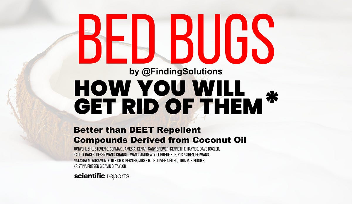 How I Got Rid of Bed Bugs With Science and Coconut Oil by