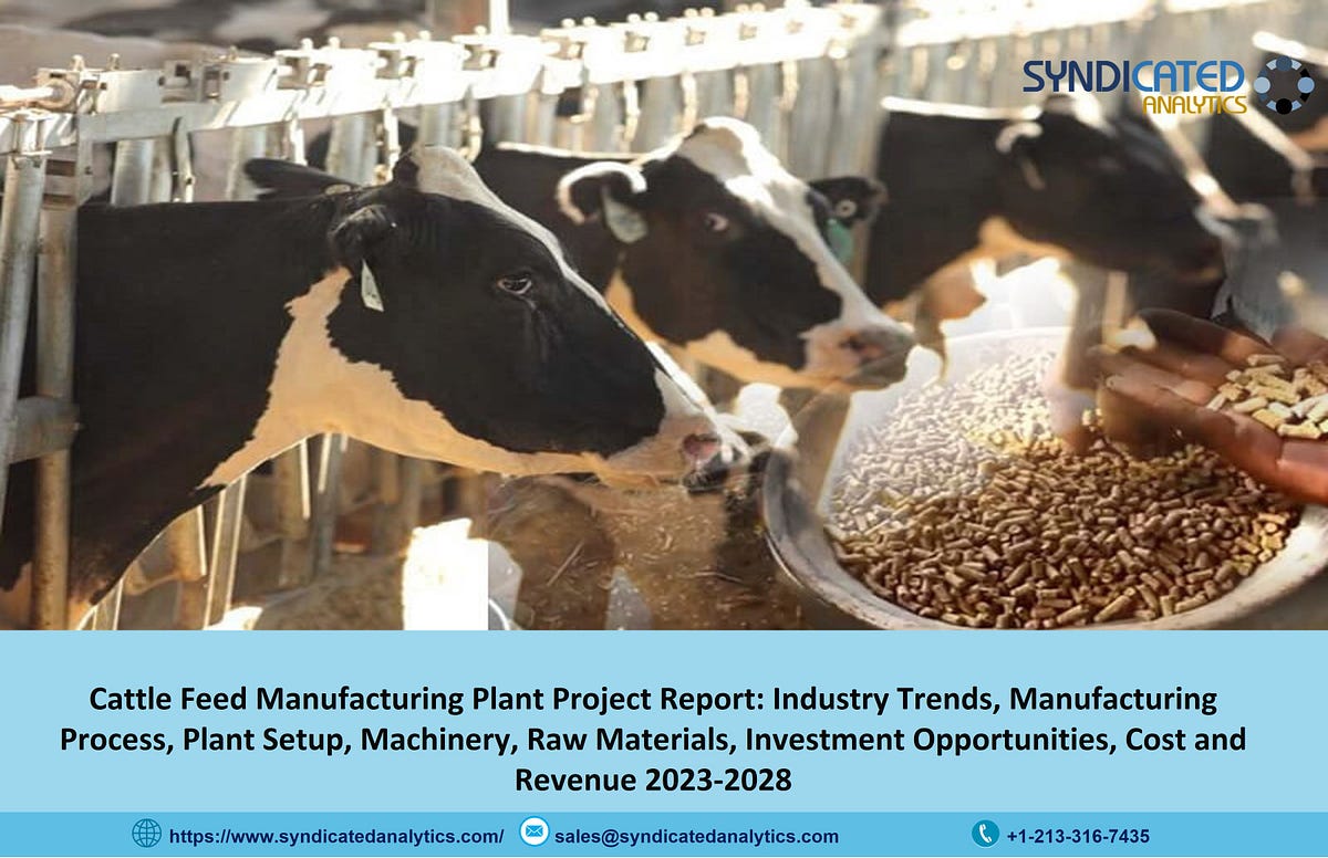Cattle Feed Manufacturing Plant Project Report 2023 Business Plan