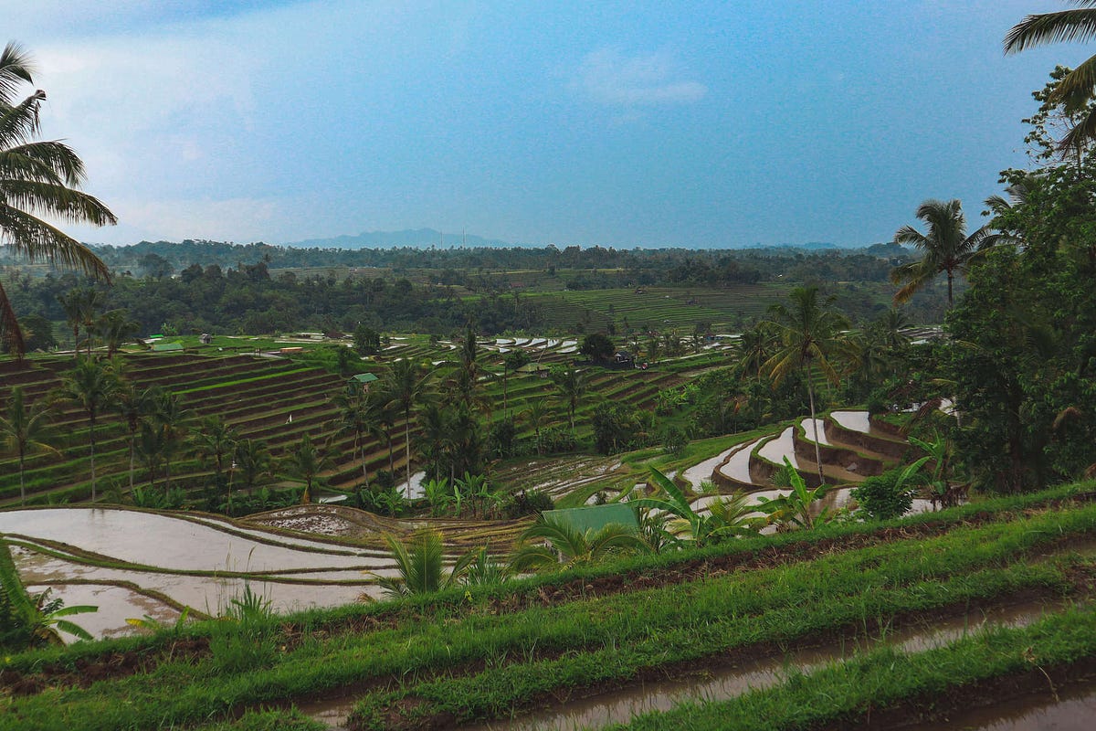 Cost of living in Bali. Detailed review of average cost of… by