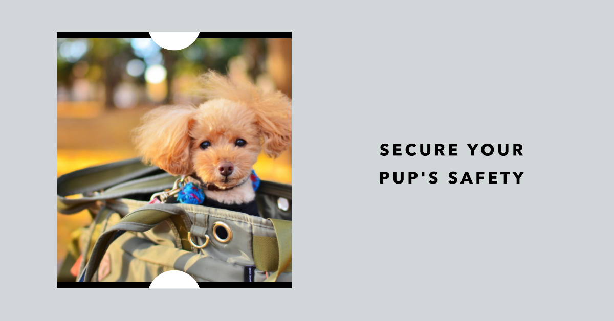 Safety First The Importance of a Secure Puppy Harness by Paw Lane