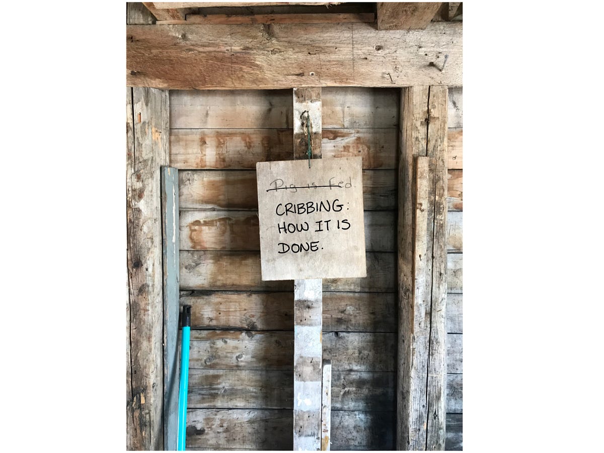 Cribbing How It Is Done. Cribbing is a frame or crib of logs… by The Punt Premises Medium