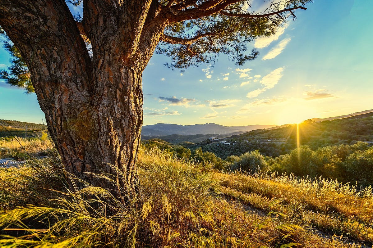 Did You Know… Daylight Savings Wasn’t Introduced to Help Farmers by