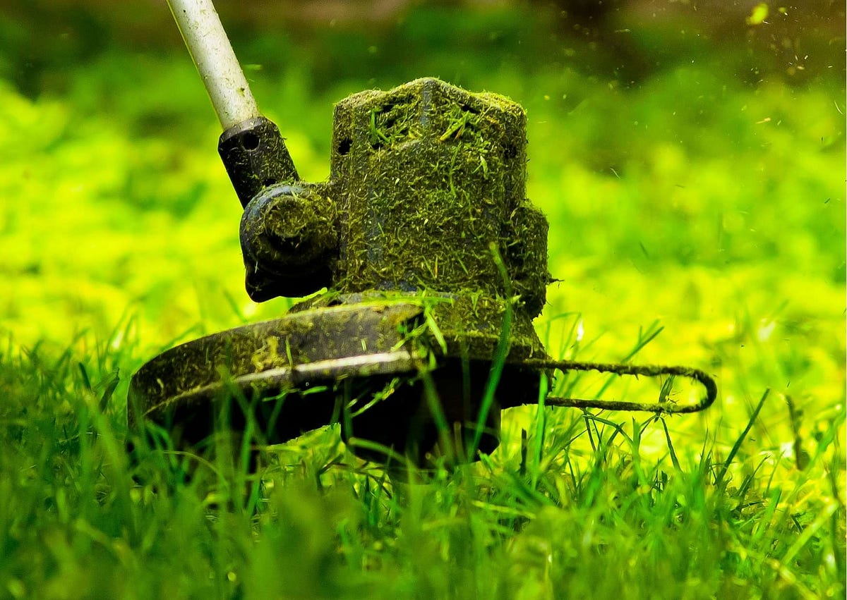 5 Reasons Why You Should Use a Grass Cutting Service Near Me by Eden