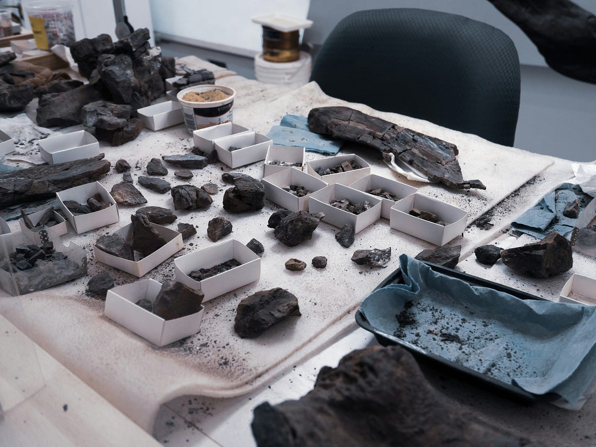 Carbon14 Dating Unlocking the Secrets of the Past Follower Booster Hub