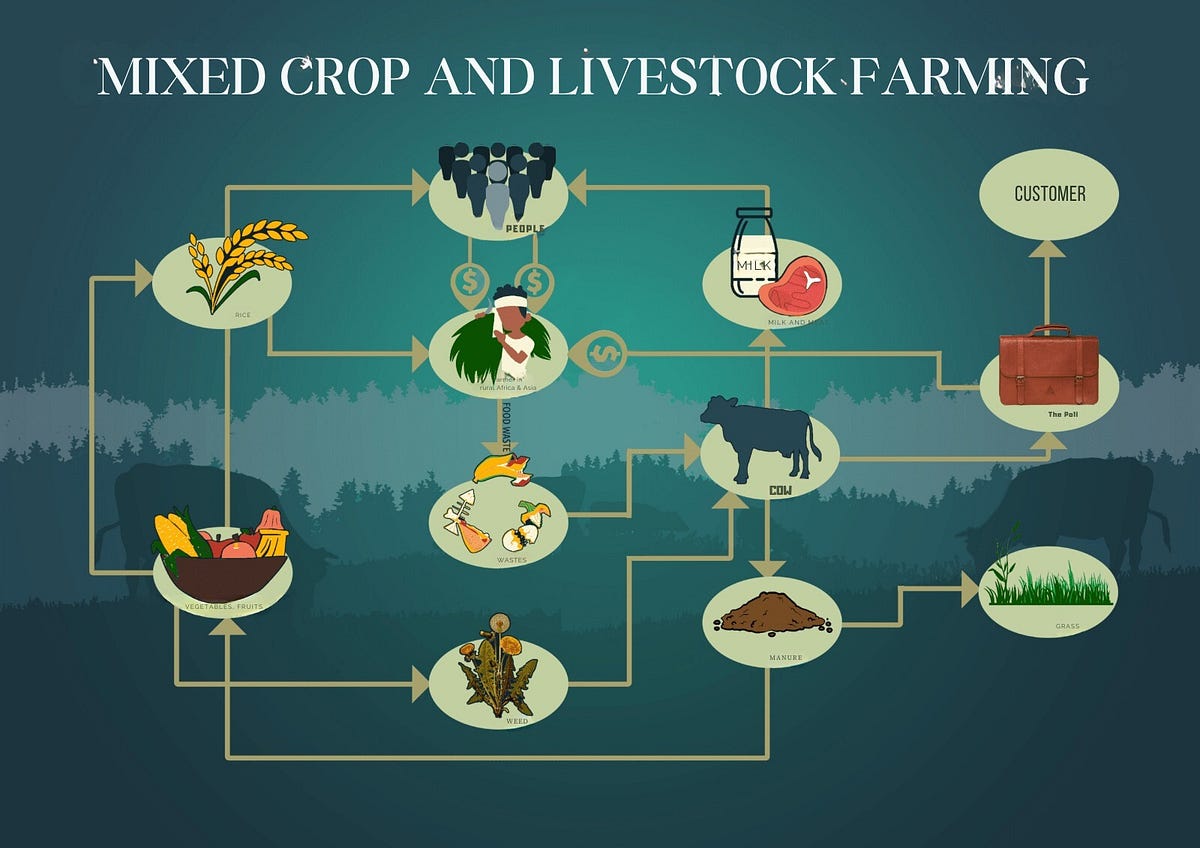 Mixed Crop And Livestock Farming Different Ways, Benefits & Challenges