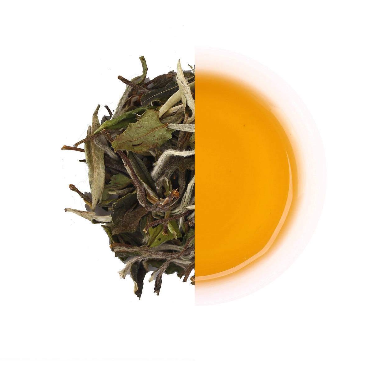 White Tea A Delicate and Refreshing Beverage by Qi Aerista Smart Tea