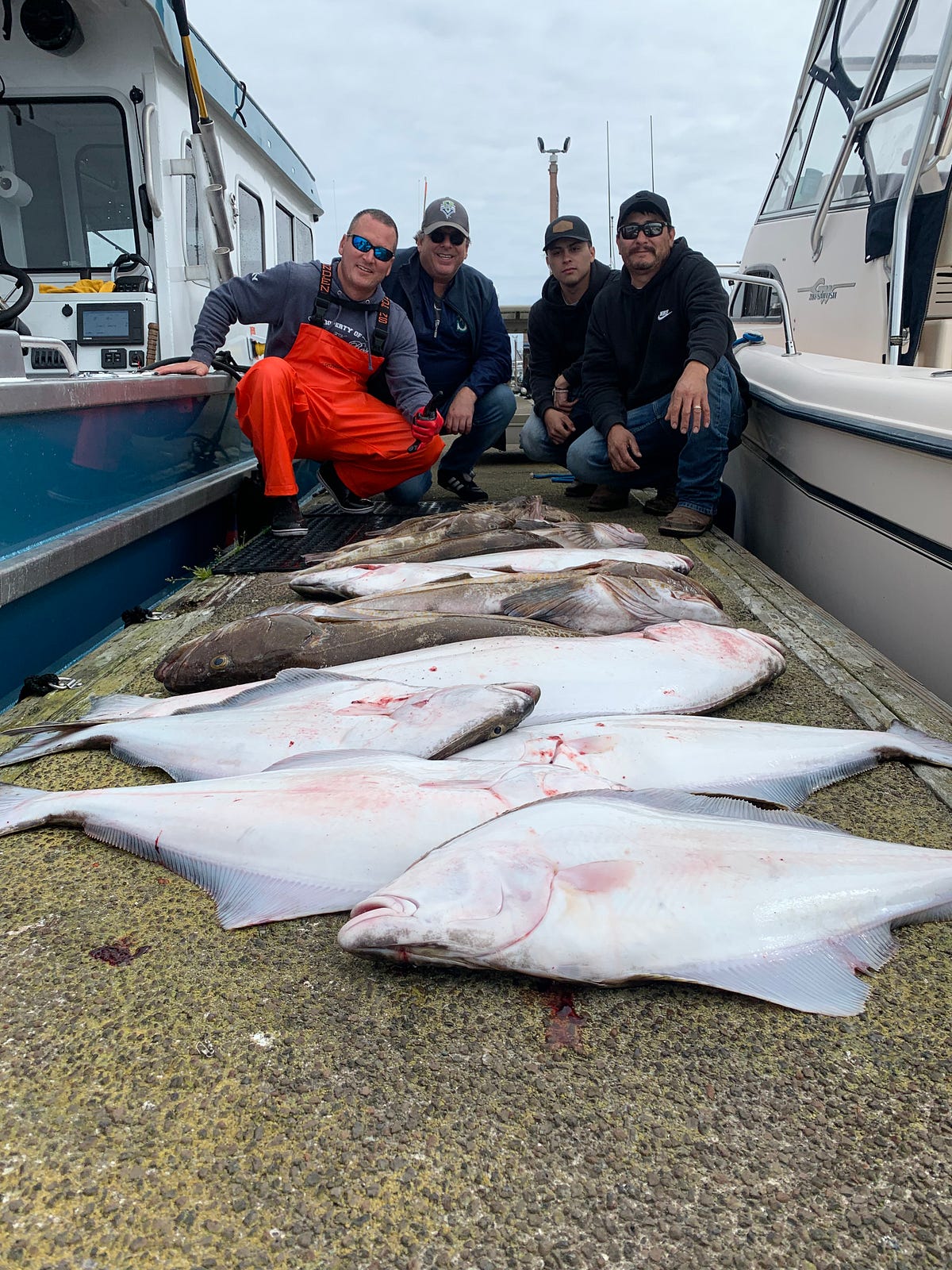 Halibut fishing season arrives in Washington by The Washington Department of Fish and Wildlife