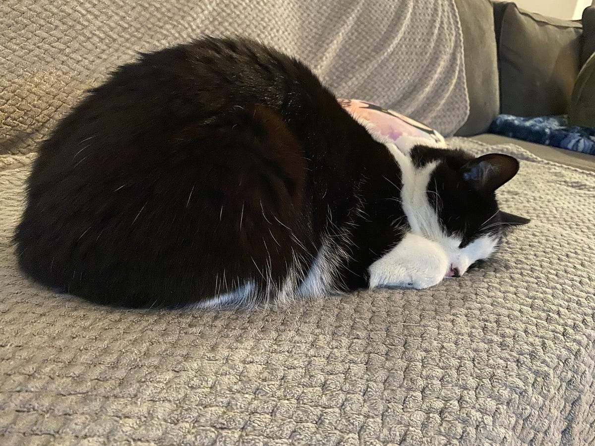 National Lazy Day is Real, People! by Randy Pulley the Challenged