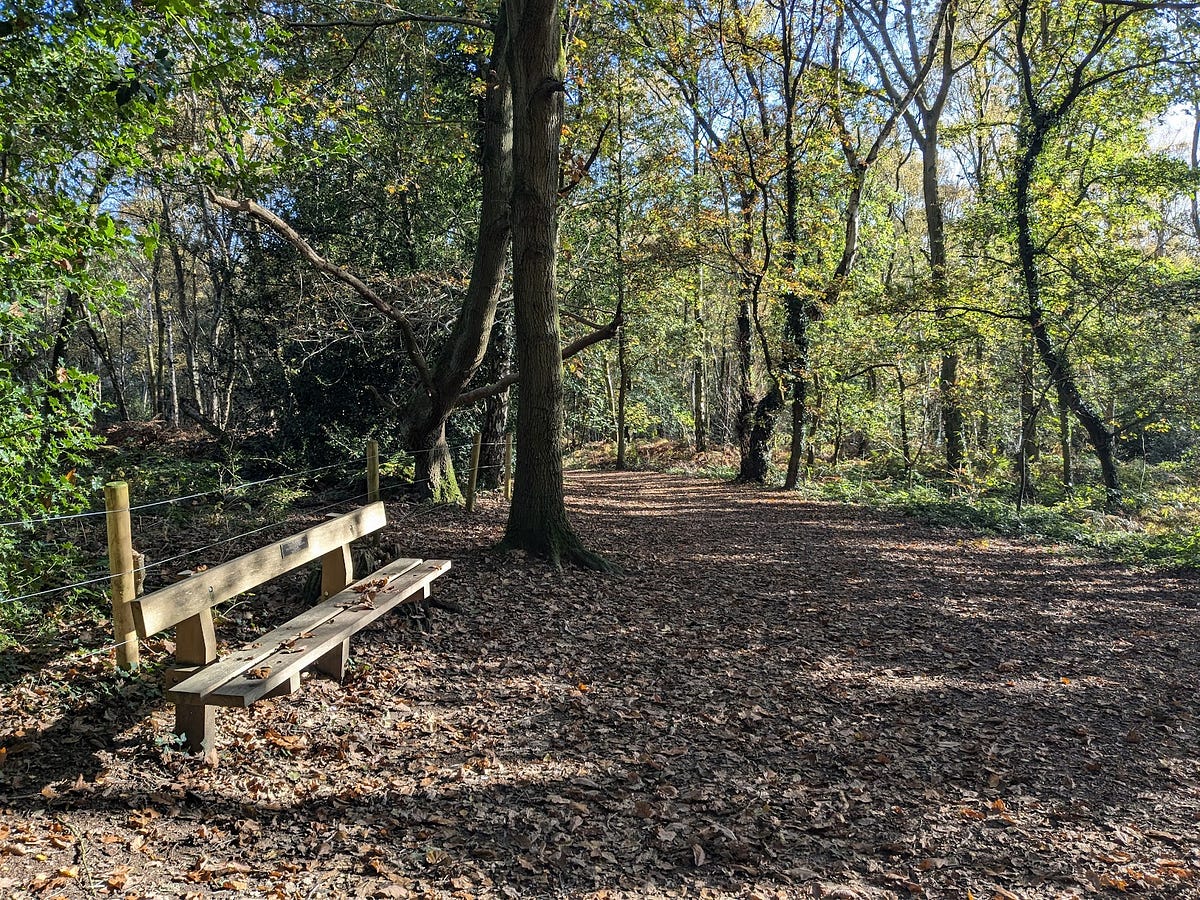 I Discovered the Meaning of Life on My Morning Run by PatrickMH