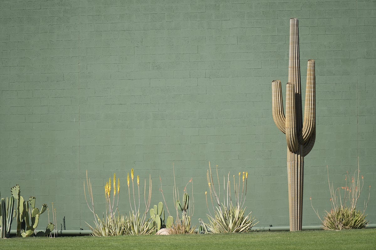 Mariners Announce 2023 Spring Training Game Times; Spring Training