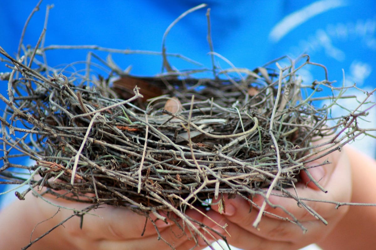 The Pros and Cons of Nesting | by Katherine Taylor | Apr, 2024 | Medium