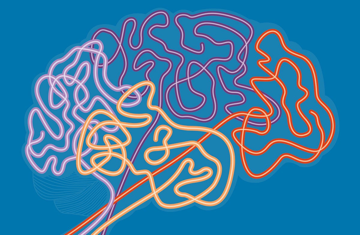 How reliable is your memory? — Elizabeth Loftus by Leo Marti BBC UX