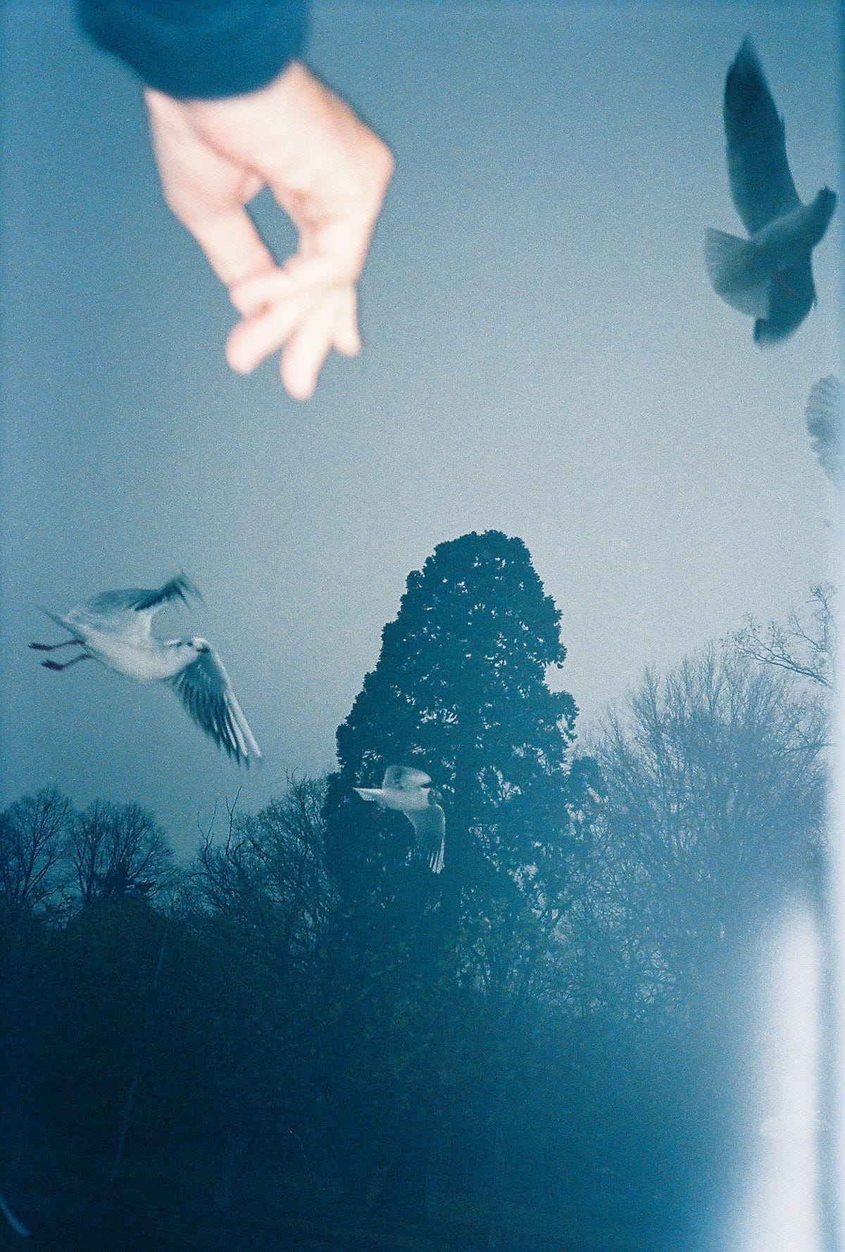 Photography Analogue vs Digital Medium