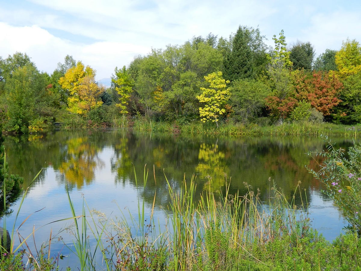 Fantastic Things to Do in Boise, Idaho by Mighty Dog Roofing Boise