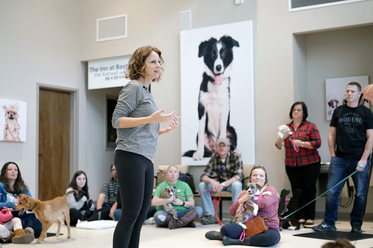What is the difference between a dog trainer and a behaviorist? by
