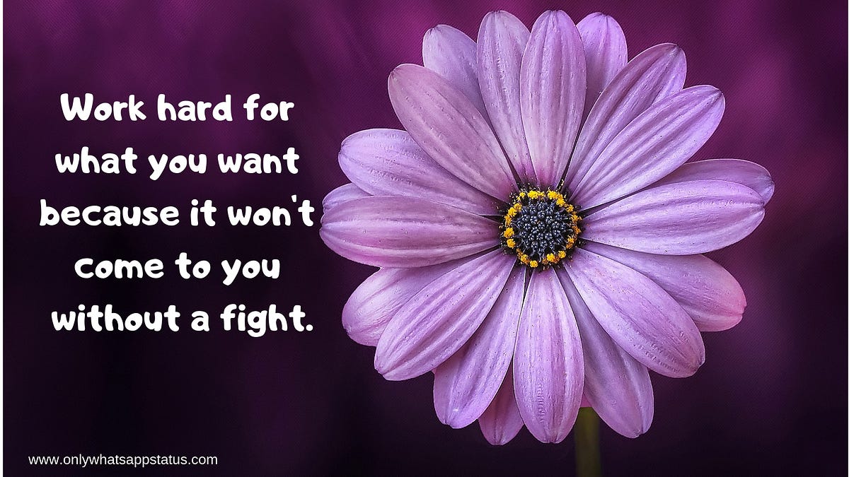 different whatsapp status. Hello, friends nice to meet you the… by