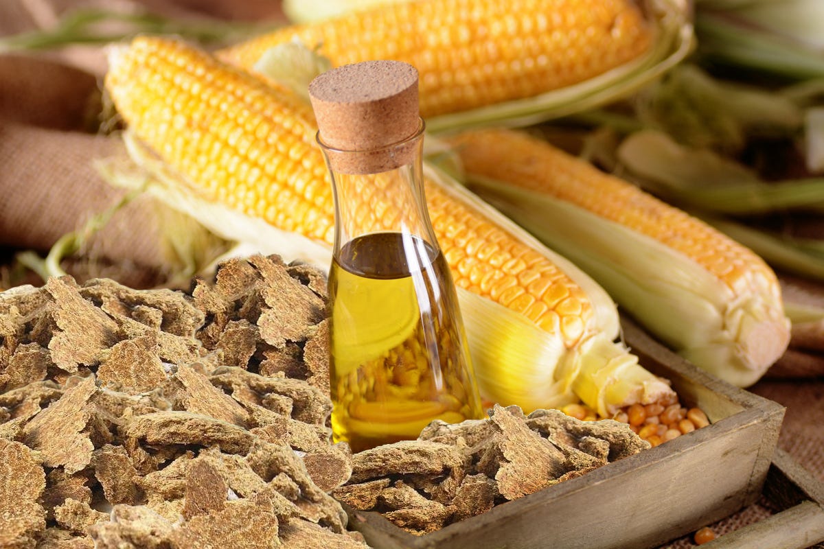 Top health benefit of corn oil
