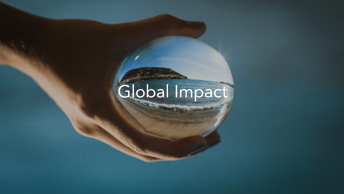 Everything you wish to know about Global Impact Network by Yoanna(04)