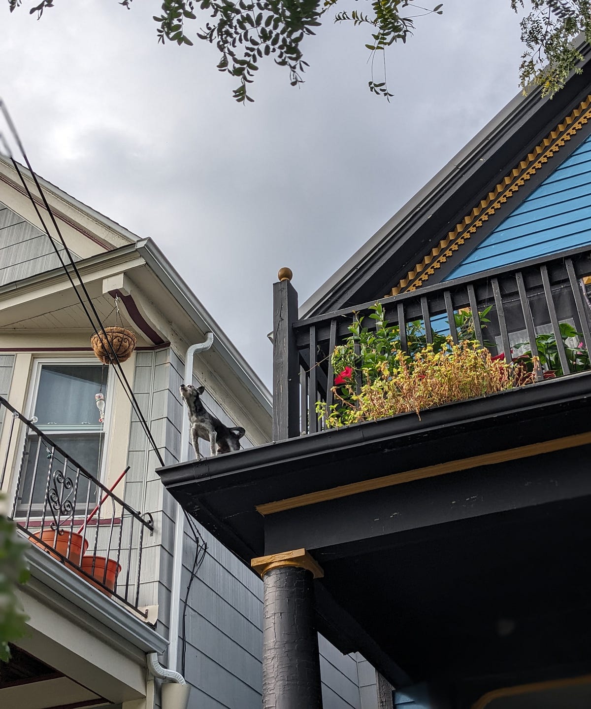 You Can’t Rent Forever, But You Absolutely Can And Should Rent For Now