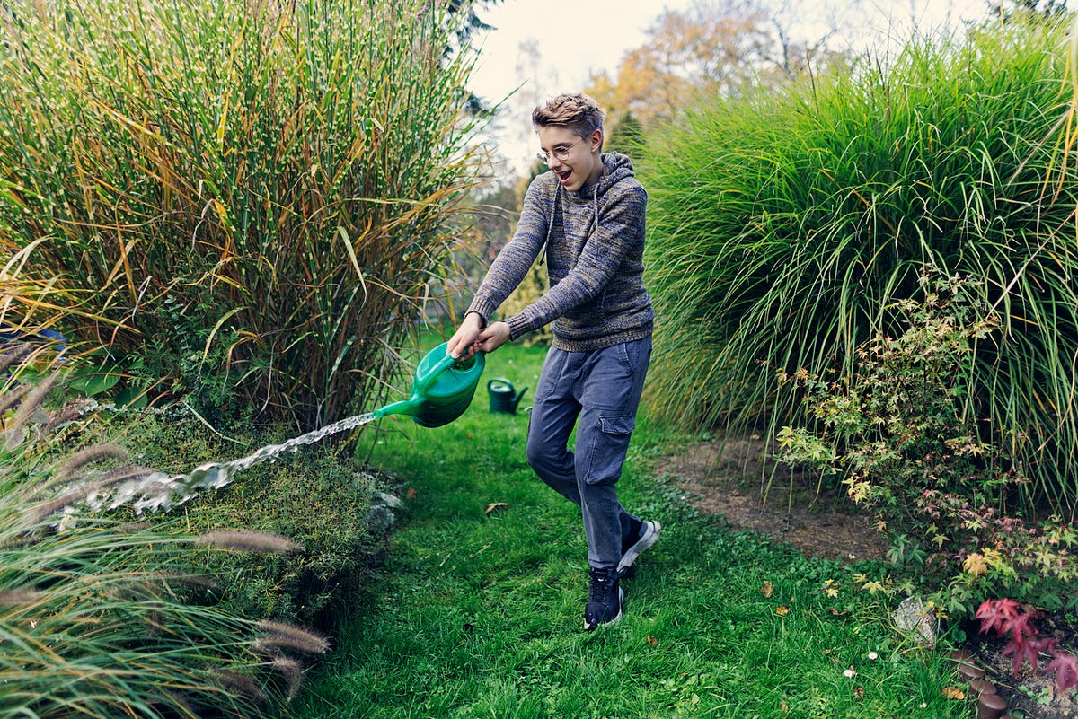 A Teenager’s Guide to Getting Out of Yard Work by The Good Men