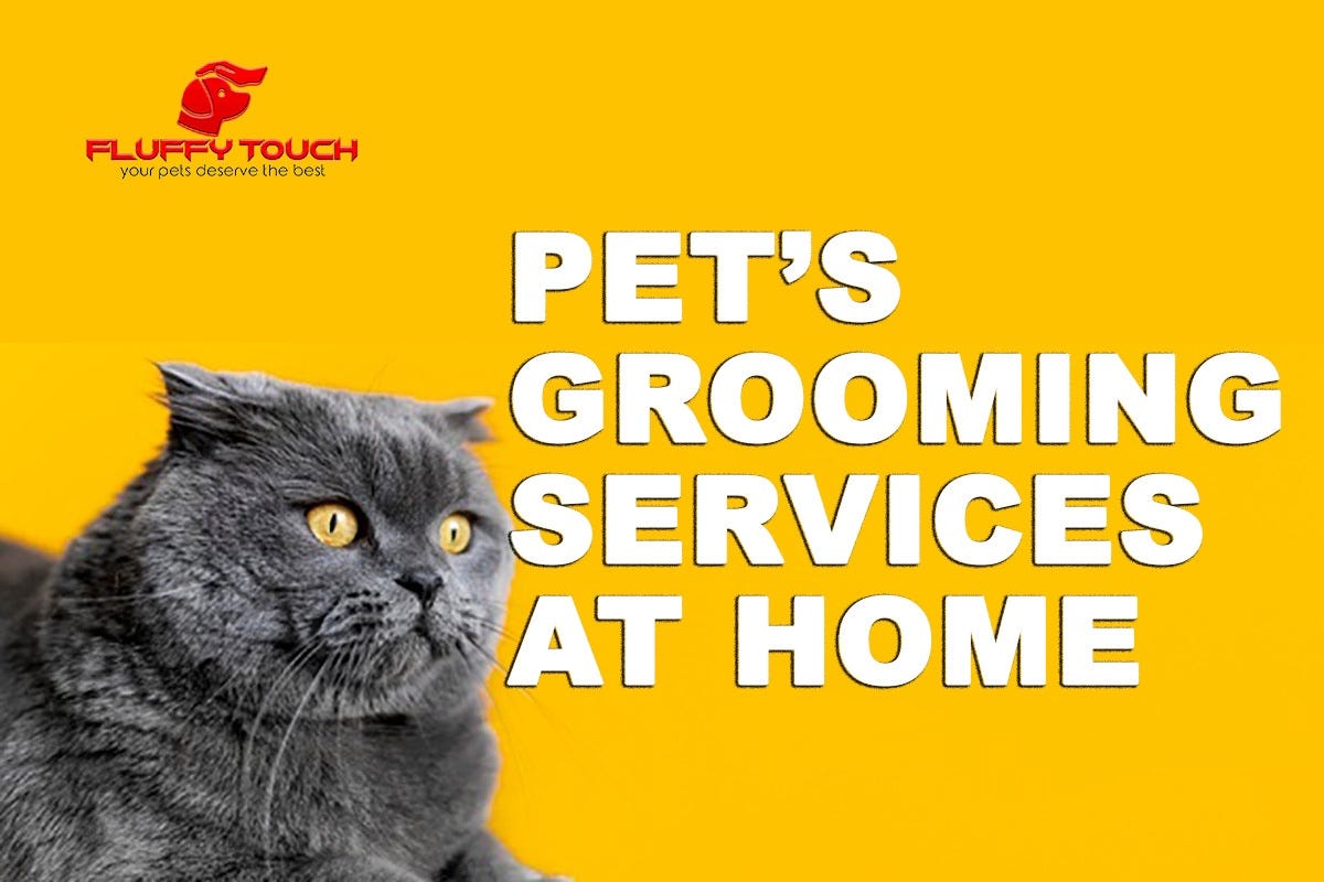 Happy Paws Shihtzu Grooming Client Feedback Bringing the Spa