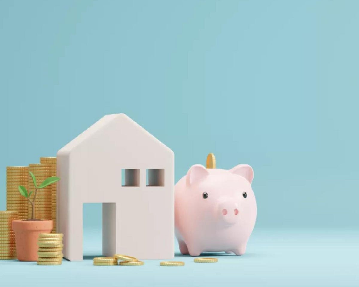 Residential Property Management in Summerville, SC Sea Turtle