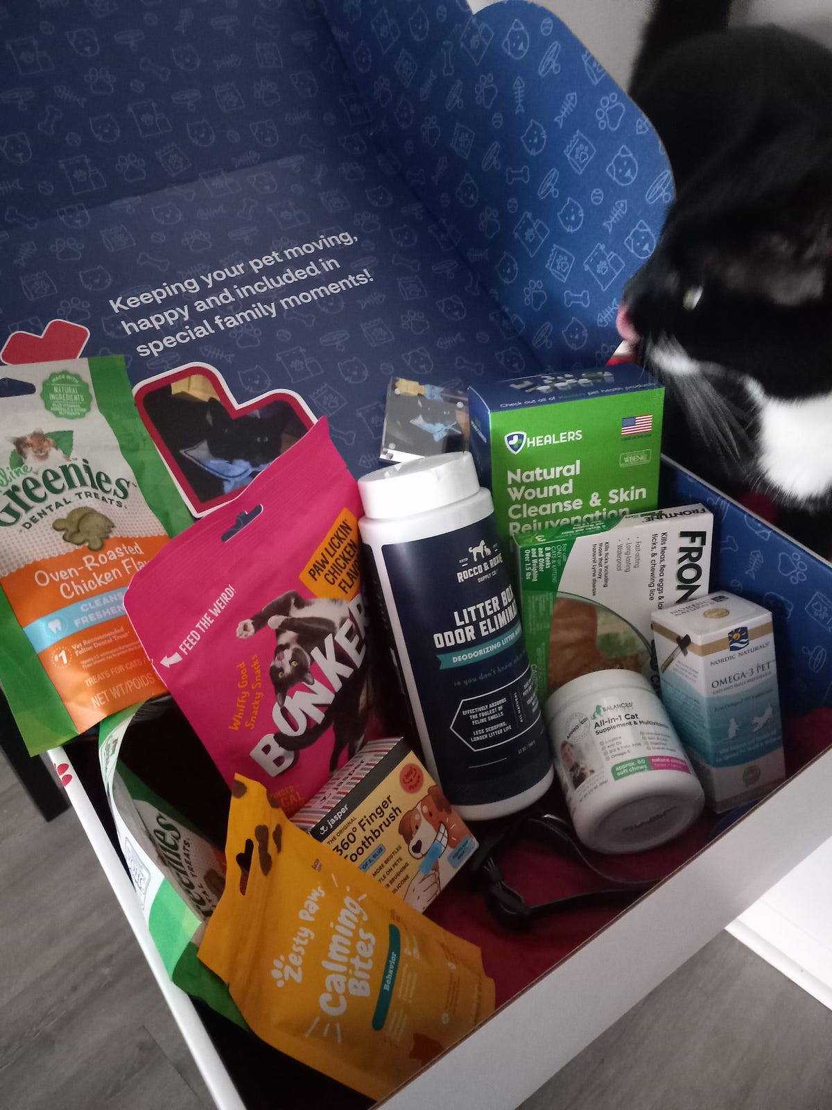 CVS Pet Wellness Nicky LaMarco Medium