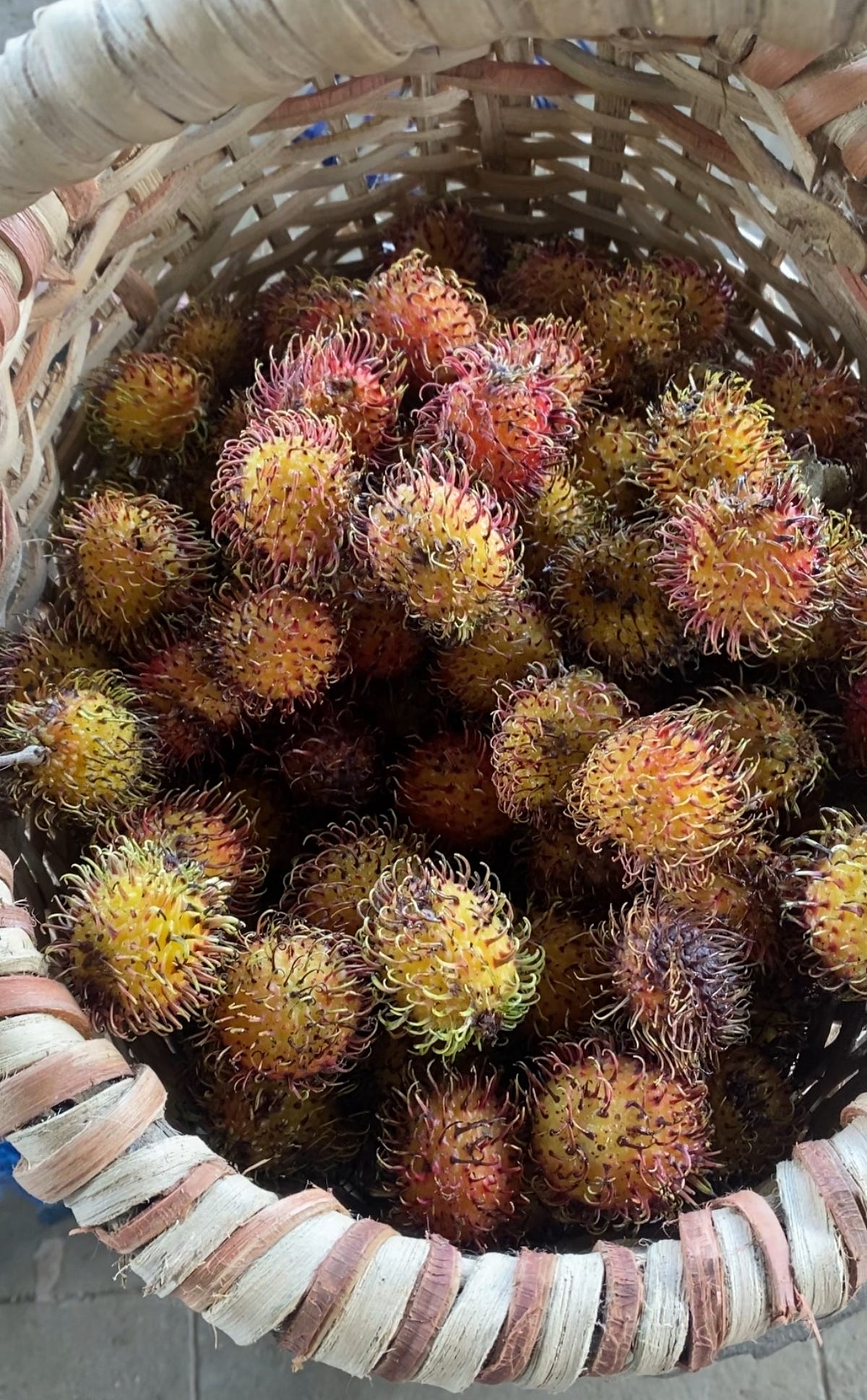 Exploring the Delights of Mamon Chino and Rambutan by
