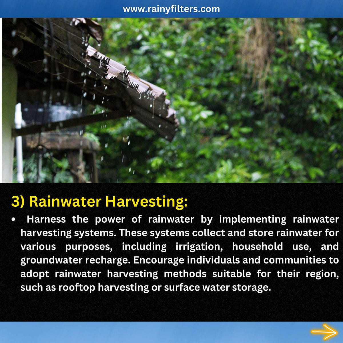 Everything You Need to Know About Rainwater Harvesting by