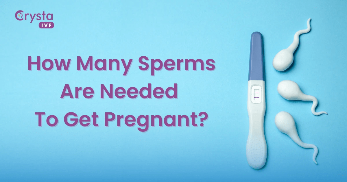 Understanding the Role of Sperm Count in Pregnancy A Comprehensive