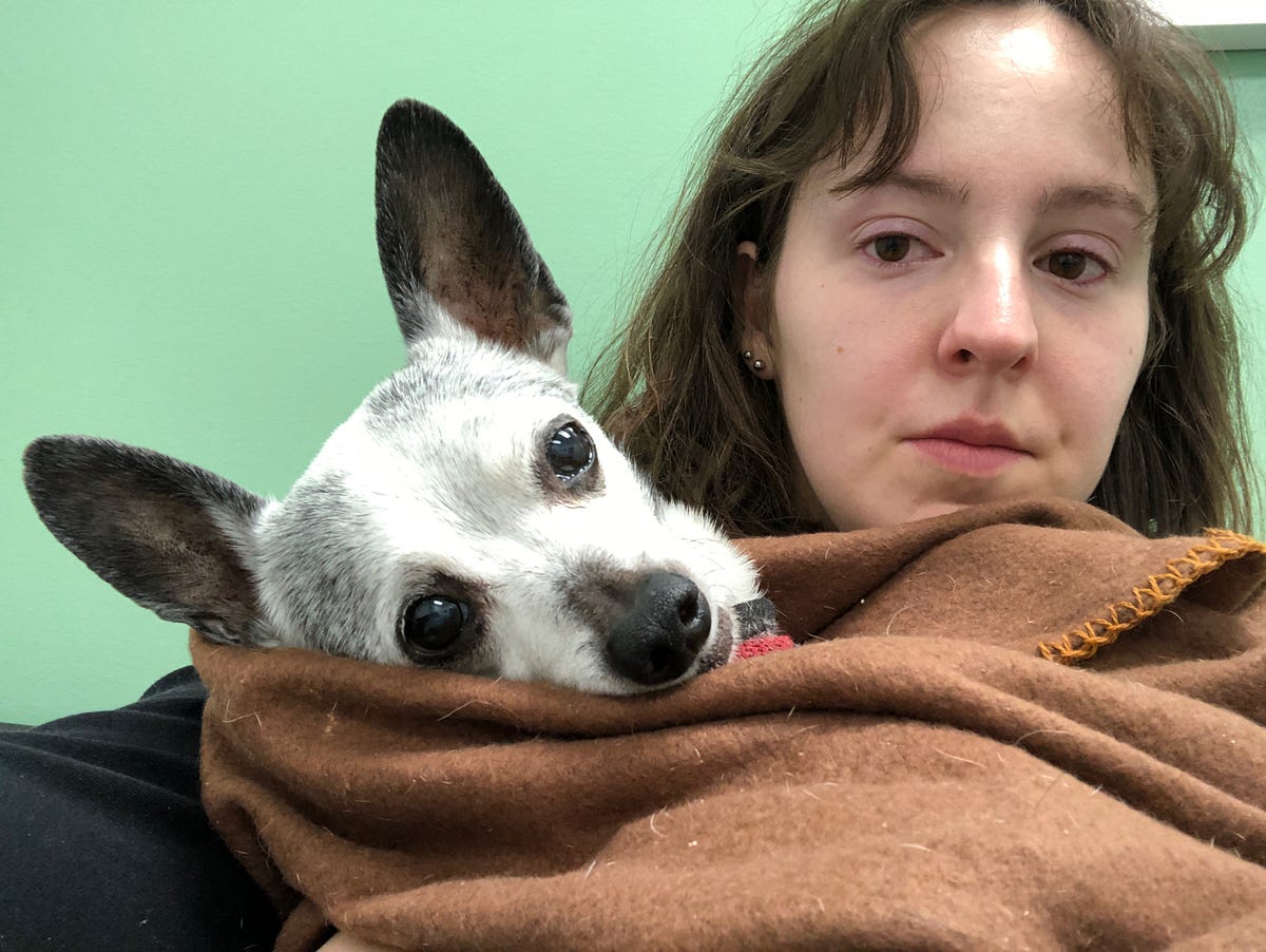 Epilogue My First Dog Was A Dud. The end still managed to surprise me