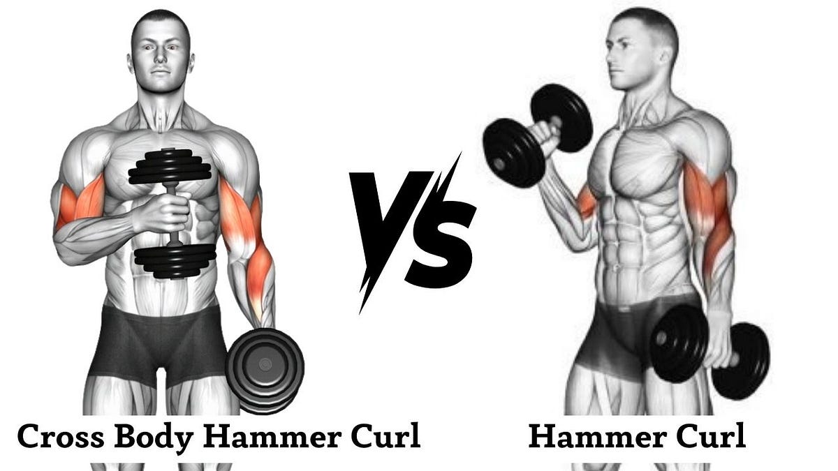 Crossbody Hammer Curls vs. Hammer Curls by FIT LIFE REGIME Medium