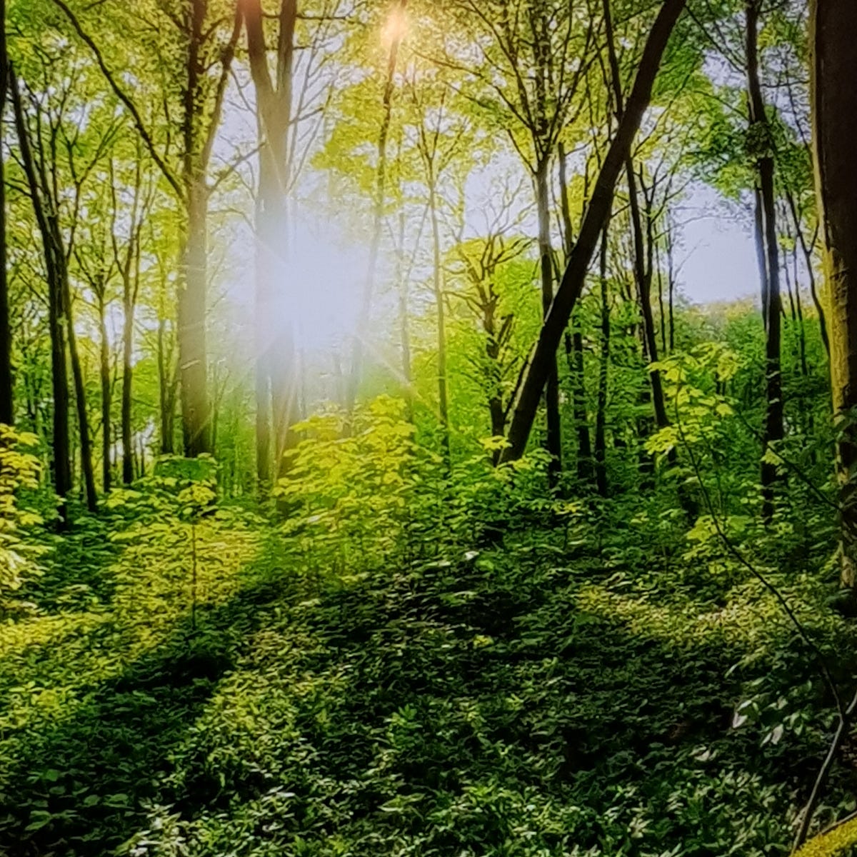 **time does not exist, did not exist and will not exist** by MIMIADE