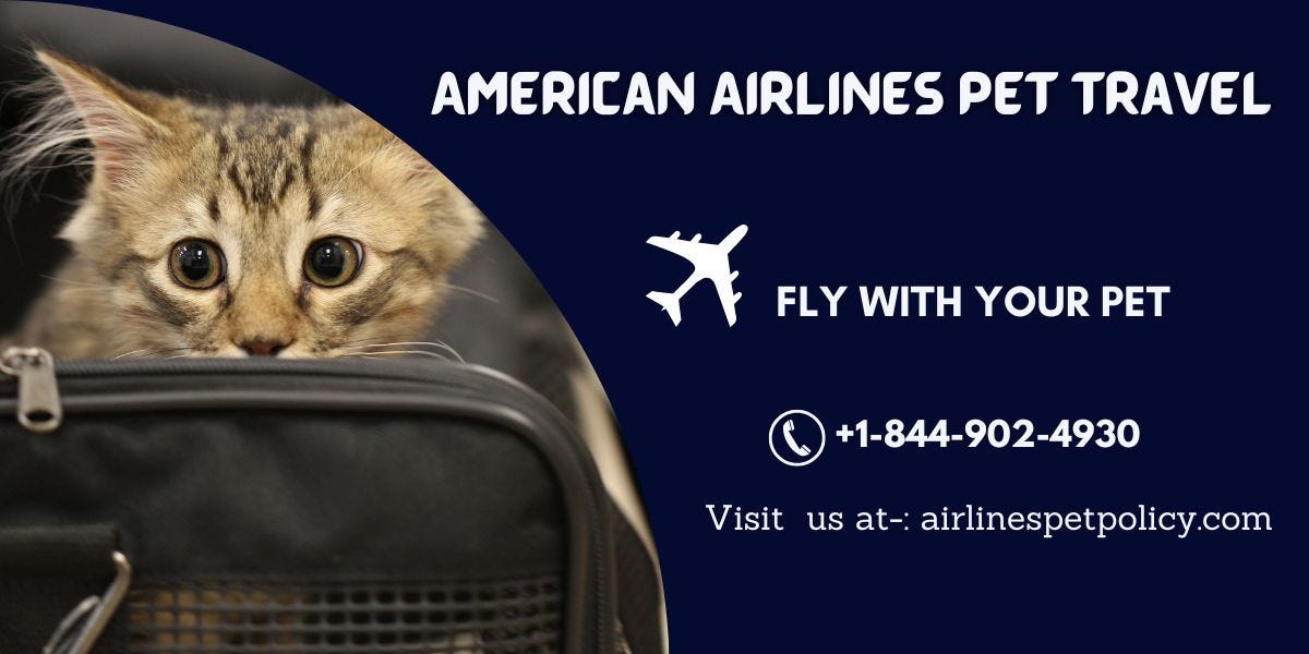 American Airlines Pet Travel American Airlines Pet Policy Medium